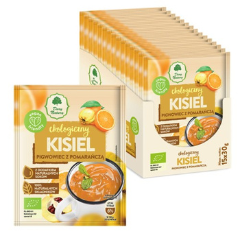 Kisiel - Pigwowiec z pomarańczą EKO Dary Natury, 30g