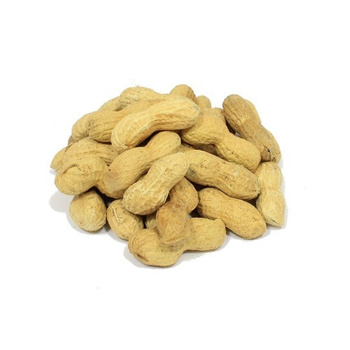 Orzechy ziemne suszone fistaszki Targroch 500 g.