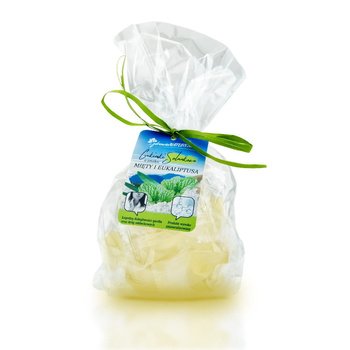 Cukierki solankowe w woreczku o smaku mięty i eukaliptusa Zdrowie Natury, 110 g
