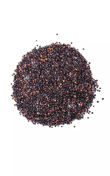 Quinoa - komosa ryżowa czarna Targroch, 1000g